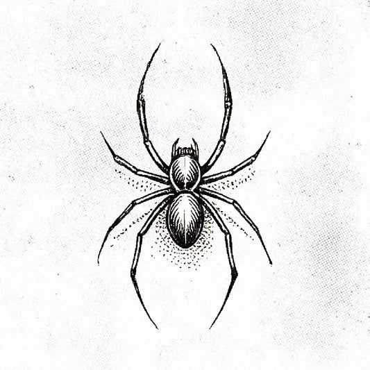 spider outline neck tattoo idea design drawing stencil png