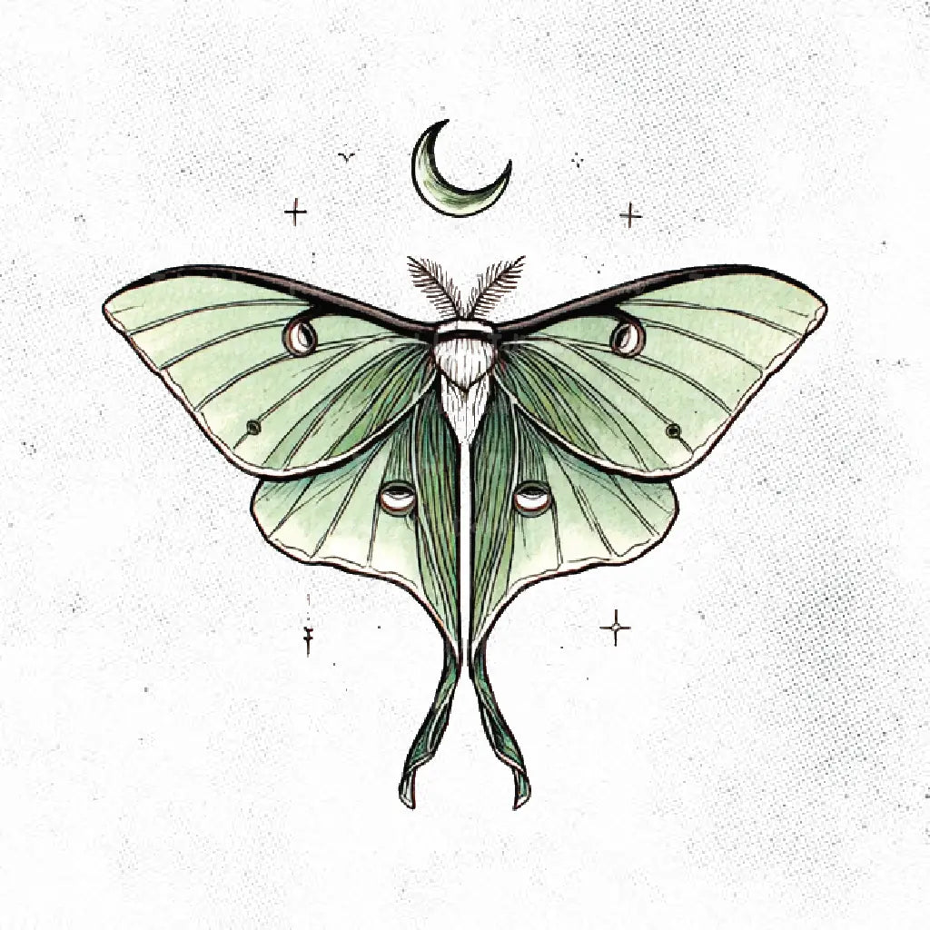 luna moth tattoo idea design drawing stencil png