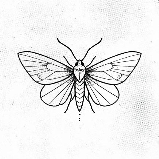simple moth tattoo idea design drawing stencil png