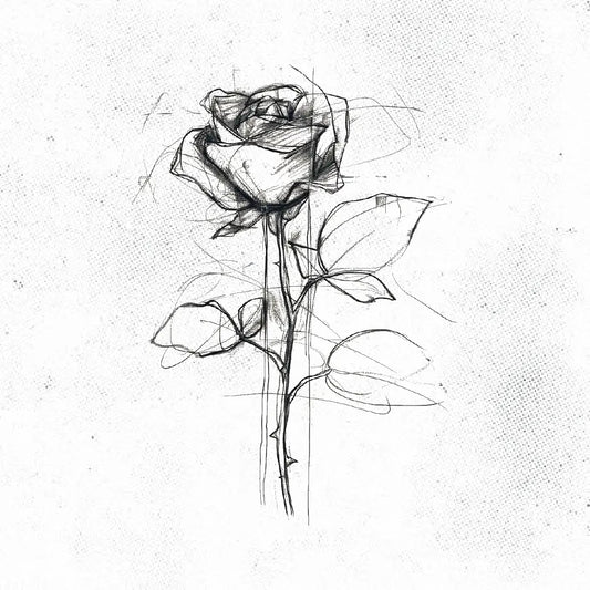 rose sketch tattoo idea design stencil png