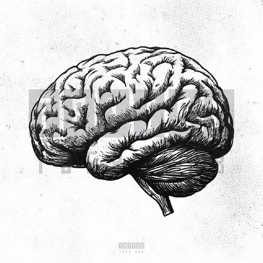 anatomical brain tattoo idea design drawing stencil png