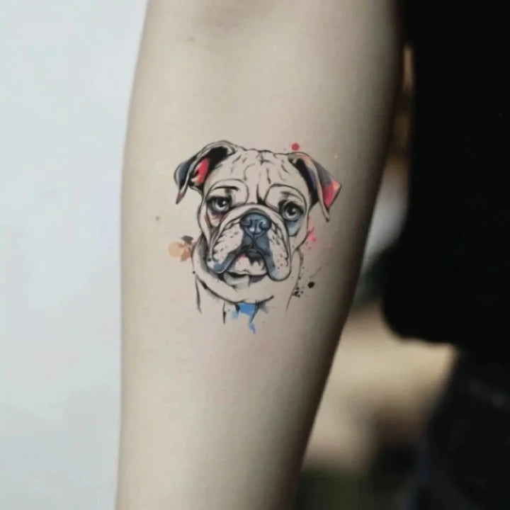 watercolor bulldog forearm temporary tattoo idea design