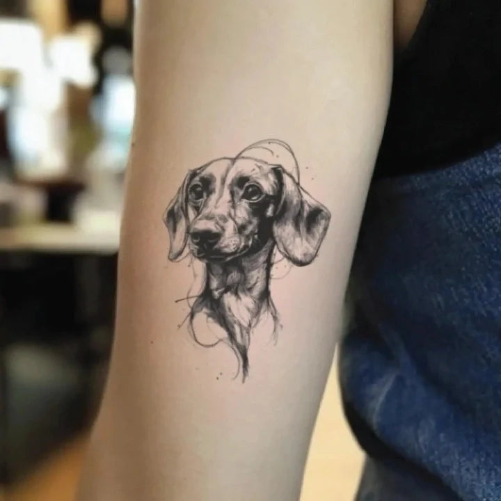 sketchy dachshund dog portrait bicep temporary tattoo idea design