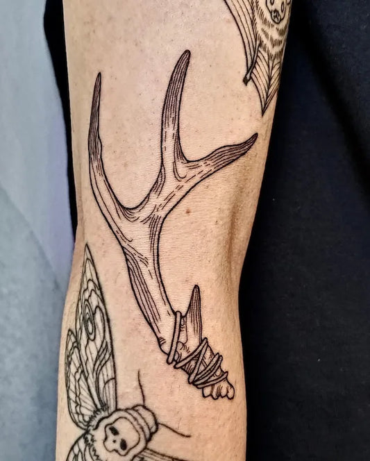 tattoo of deer antlers horn outline on arm