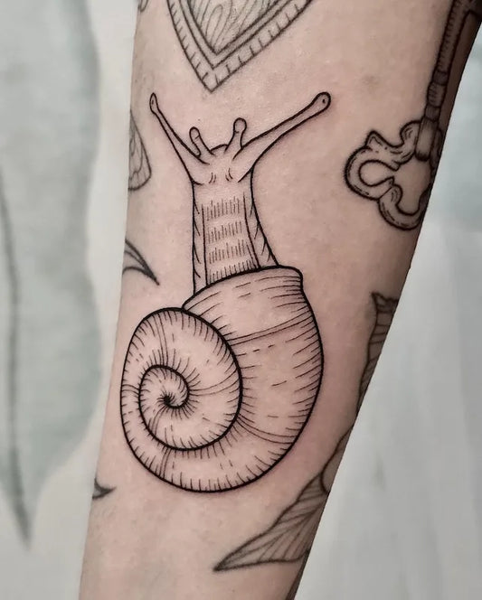 snail outline tattoo on arm