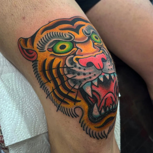 Big American Traditional Tiger Head on Women Knee Tattoo by @ollie_pinder