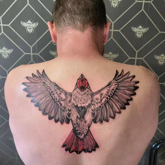 Big Black and Grey Cardinal Bird Tattoo on Men Back by @stung_tattoo