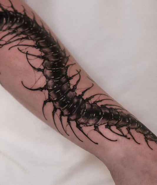 Big Black and Grey Centipede Tattoo on Men Arm by @lucy.moana