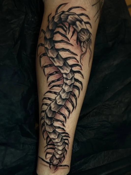 Big Black and Grey Centipede Tattoo on Men Leg by @luis_bold