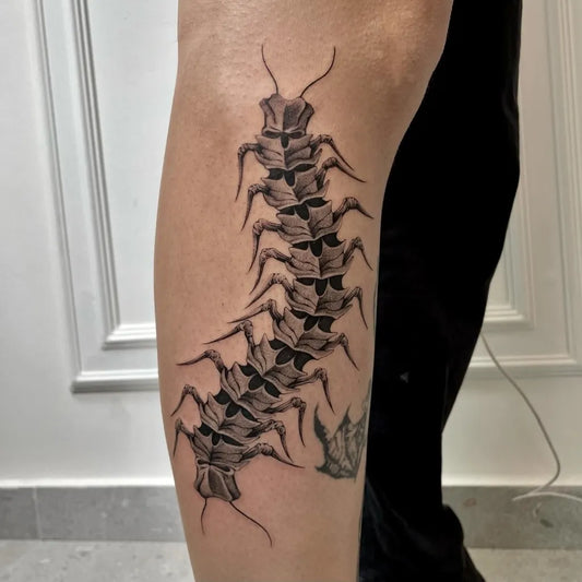 Big Black and Grey Centipede Tattoo on Men Leg by @mystickyfingers_