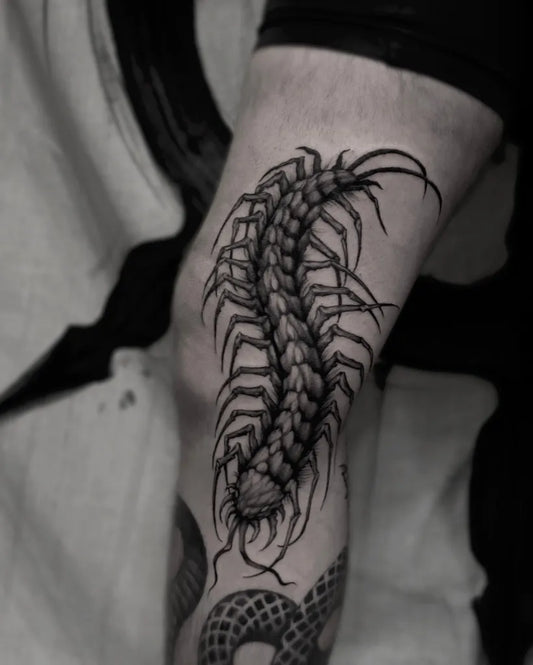 Big Black and Grey Centipede and Snake Tattoo on Men Thigh by @gruyay