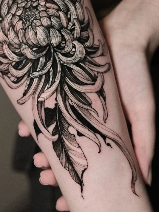 Big Black and Grey Chrysanthemum Women Arm by @rosietattooer