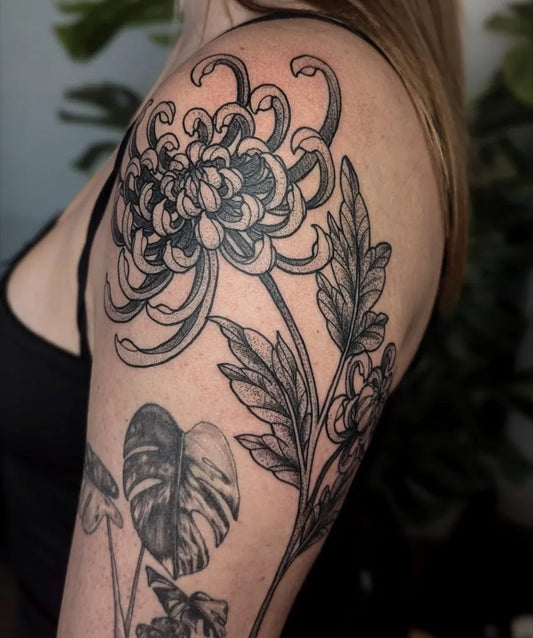 Big Black and Grey Chrysanthemum and Monstera Leaves Tattoo on Women Shoulder by @vampiraink