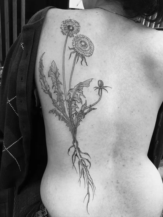 Big Black and Grey Dandelion Tattoo on Women Back by @pukeonmemilo