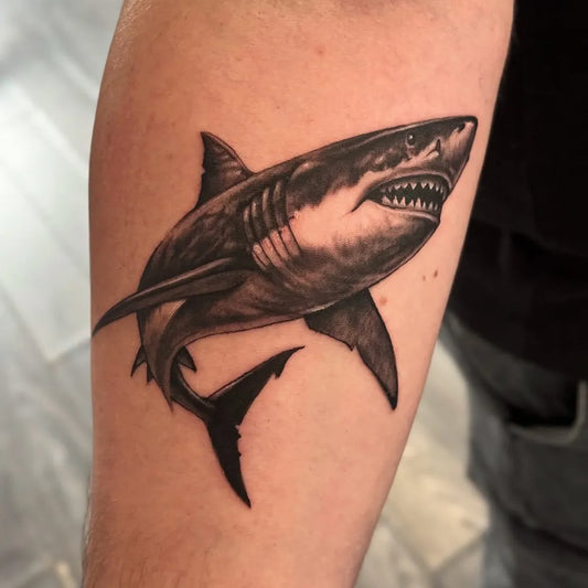 Big Black and Grey Great White Shark on Men Arm Tattoo by @paulbtattoos