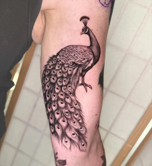 Big Black and Grey Peacock Tattoo on Women Arm by @sarah_tavilla