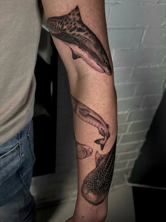 Big Black and Grey Tiger Shark and Hand on Men Arm Tattoo by @rachaelrosetattoo