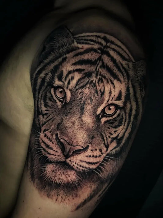 Big Black and Grey Tiger on Men Shoulder Tattoo by @sergioe.murciatattoo