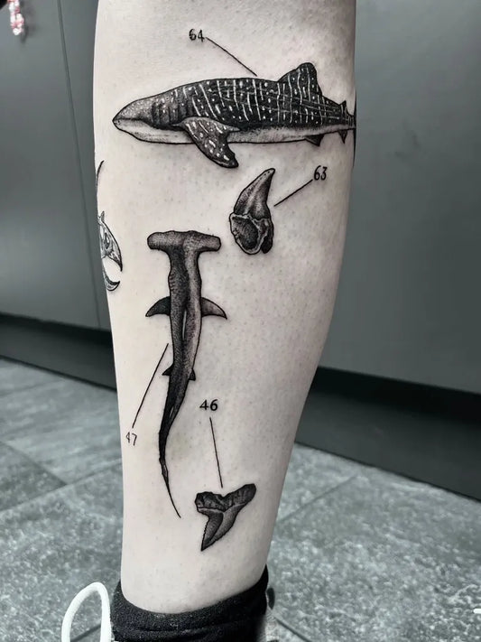 Big Black and Grey Whale Shark Anatomy on Women Leg Tattoo by @davinatattoo