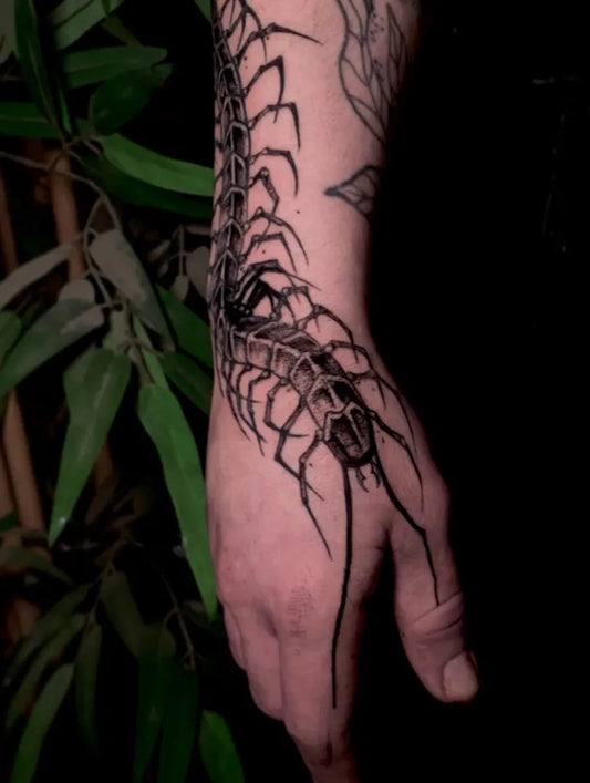 Big Blackwork Centipede Tattoo on Men Arm by @king.kalypso