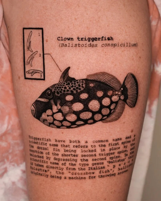 Big Realism Clown Triggerfish Tattoo on Women Leg by @robbee.ink