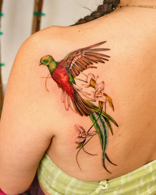 Big Realistic Hummingbird with Orchids on Women Shoulder Tattoo by @_rony_tattoo