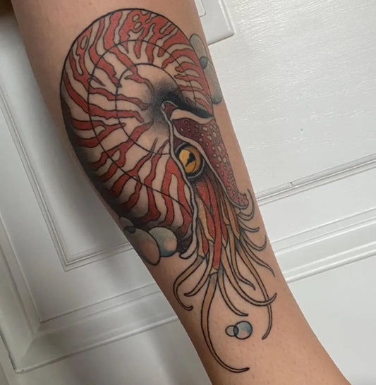 Big Traditional Nautilus Shell and Tentacles Tattoo on Women Calf by @aliciamarietattoo