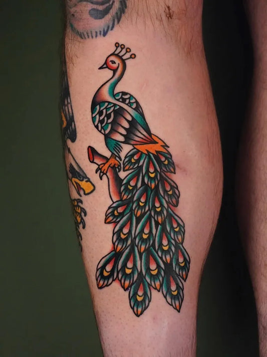 Big Traditional Peacock Tattoo on Men Leg by @figtree.tattoo.studio
