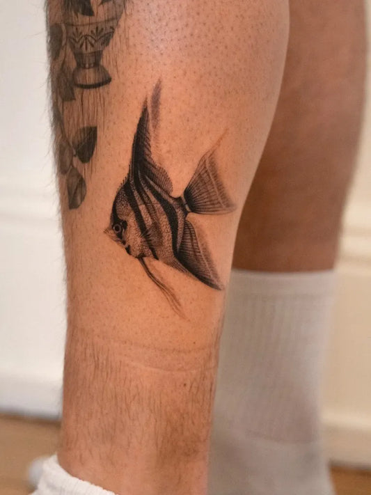 Medium Black and Grey Angelfish Tattoo on Men Leg by @jodiehedley.tattoos
