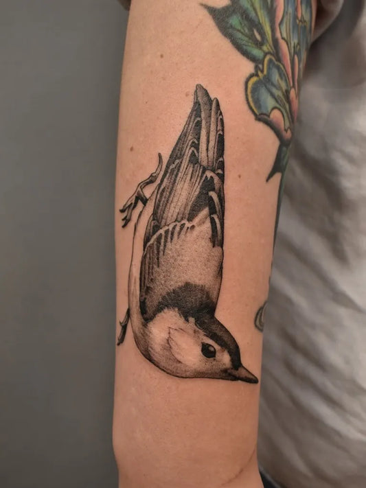 Medium Black and Grey Bird Tattoo on Women Arm by @legend_eli
