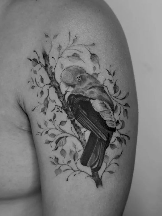 Medium Black and Grey Bird and Branches Tattoo on Men Shoulder by @kintintattoo
