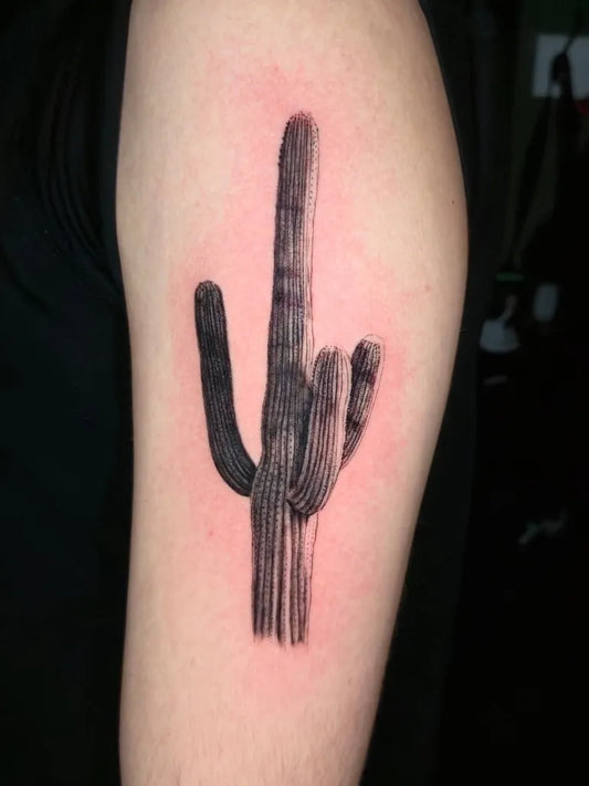 Medium Black and Grey Cactus Tattoo on Men Arm by @lil_kevin_tattoos