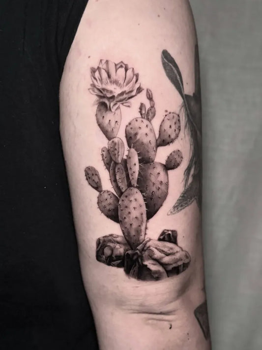 Medium Black and Grey Cactus and Rabbit Tattoo on Men Arm by @beaustanfordtattoo