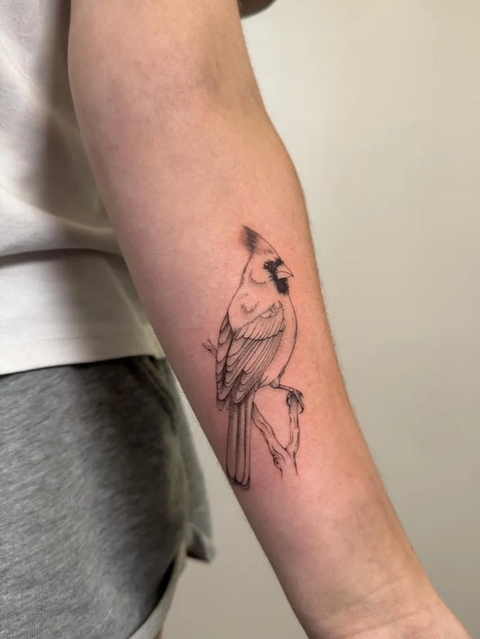 Medium Black and Grey Cardinal Bird Tattoo on Men Arm by @inkxsav
