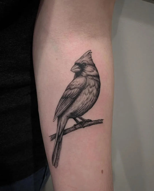 Medium Black and Grey Cardinal Bird Tattoo on Women Arm by @thebellrosetattoo