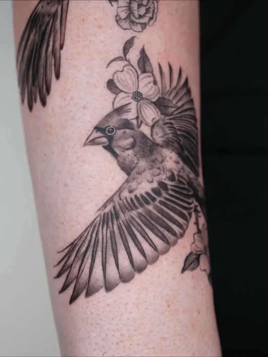 Medium Black and Grey Cardinal and Flowers Tattoo on Women Arm by @captainshade.tt