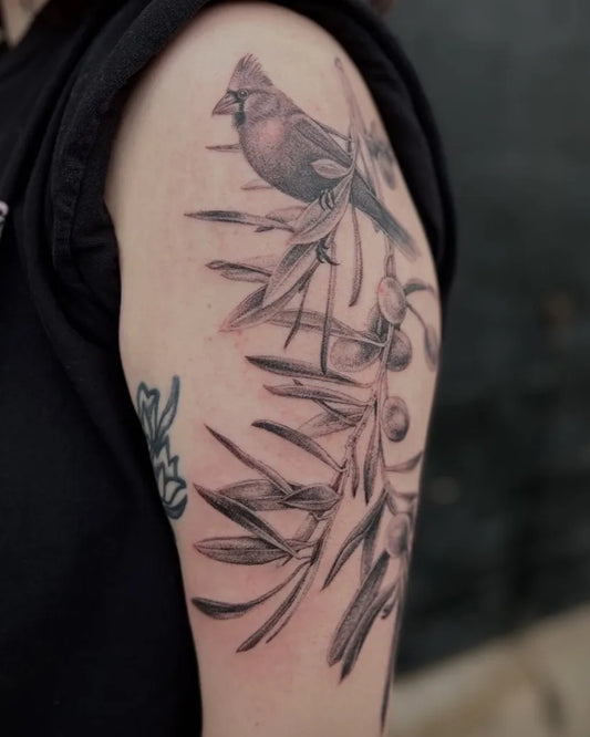 Medium Black and Grey Cardinal and Olive Branch Tattoo on Women Upper Arm by @knoteyetattoo