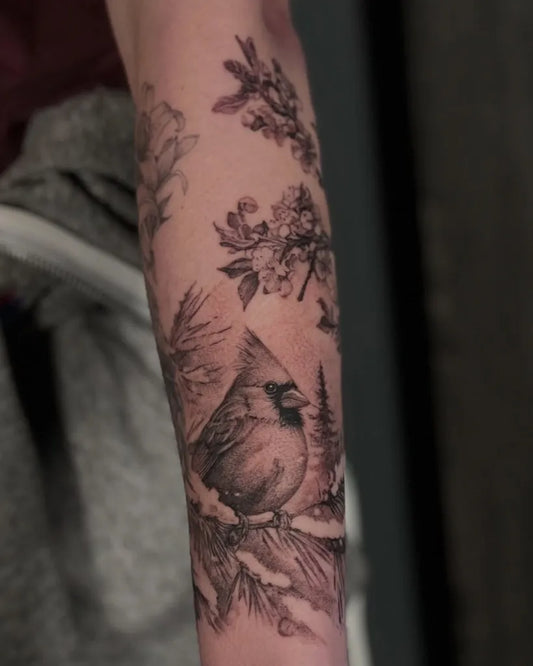 Medium Black and Grey Cardinal and Pine Branches Tattoo on Women Arm by @domcalitattoo
