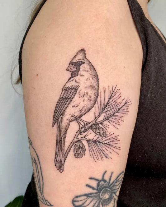 Medium Black and Grey Cardinal and Pine Cone Tattoo on Women Arm by @mysticgarden.ink