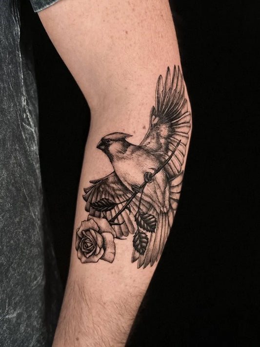 Medium Black and Grey Cardinal and Rose Tattoo on Men Arm by @vic.ink_