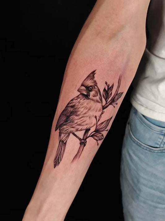 Medium Black and Grey Cardinal with Branches Tattoo on Men Arm by @disramos.ink