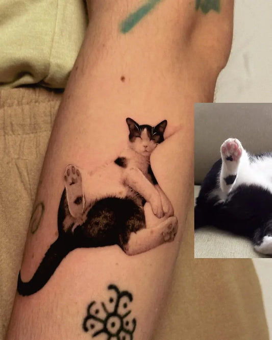 Medium Black and Grey Cat Tattoo on Women Arm by @txttoo
