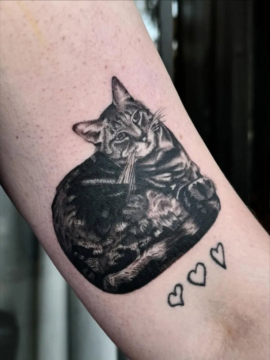 Medium Black and Grey Cat with Hearts Tattoo on Women Arm by @laniiisworld