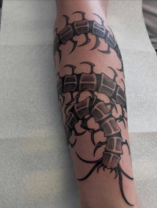Medium Black and Grey Centipede Tattoo on Men Arm by @henrywho_
