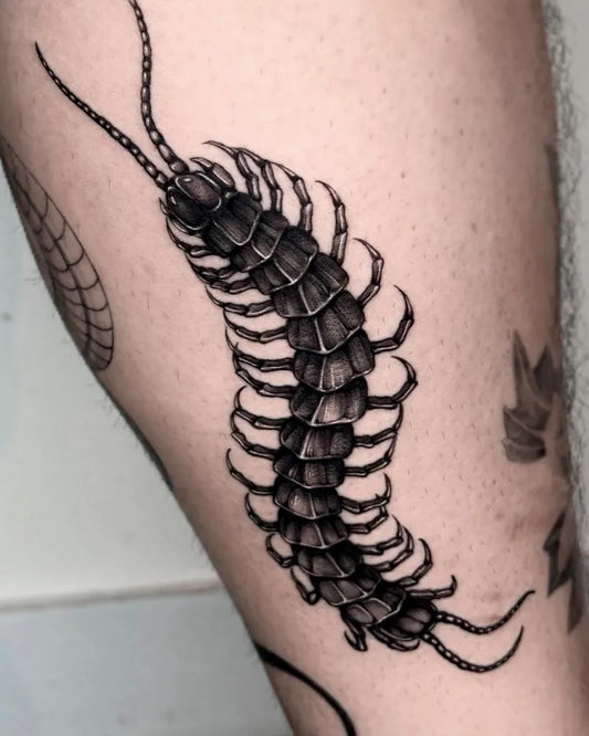Medium Black and Grey Centipede Tattoo on Men Arm by @xixi_tattoo