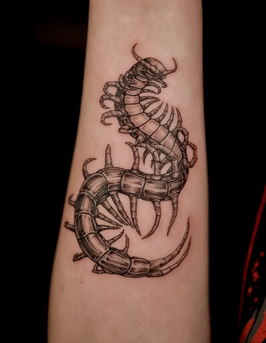 Medium Black and Grey Centipede Tattoo on Women Arm by @d.w._modoink