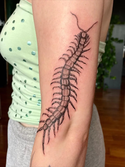 Medium Black and Grey Centipede Tattoo on Women Arm by @tattoosbyabbeysmith