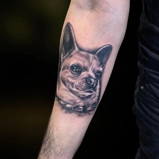 Medium Black and Grey Chihuahua Portrait Animal Tattoo on Men Arm by @inkgallerynj