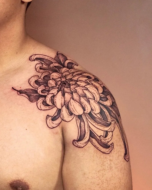 Medium Black and Grey Chrysanthemum Tattoo on Men Shoulder by @coimaxtattoo