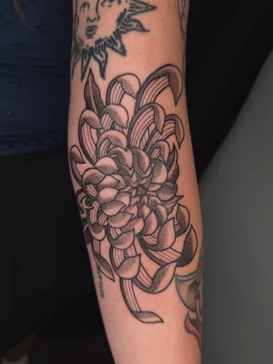 Medium Black and Grey Chrysanthemum Tattoo on Women Arm by @froide.tattoo